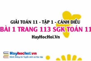 Giải bài 1 trang 113 SGK Toán 11 tập 1 Cánh Diều